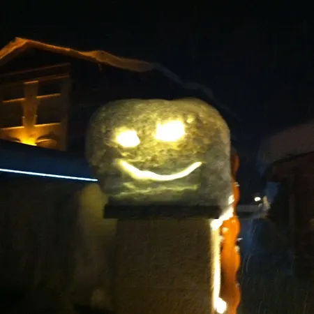 Les Petits Melezes 4* Crans-Montana