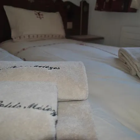 Les Petits Melezes B&B 크란스몬타나