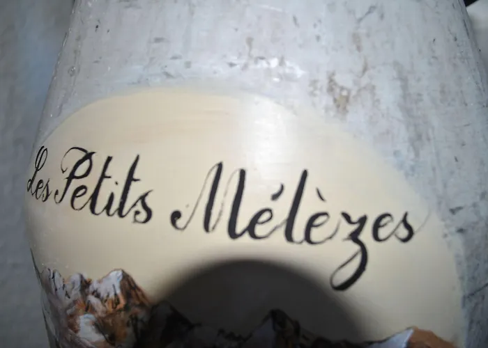Les Petits Melezes Отель типа 