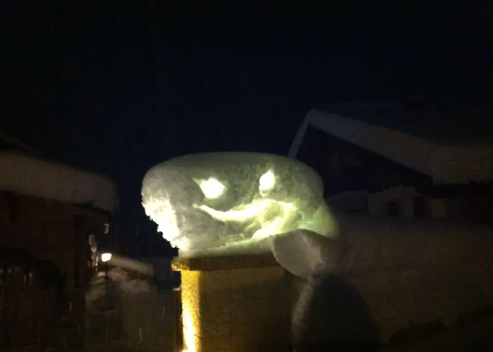 Les Petits Melezes Oda ve Kahvaltı Crans-Montana