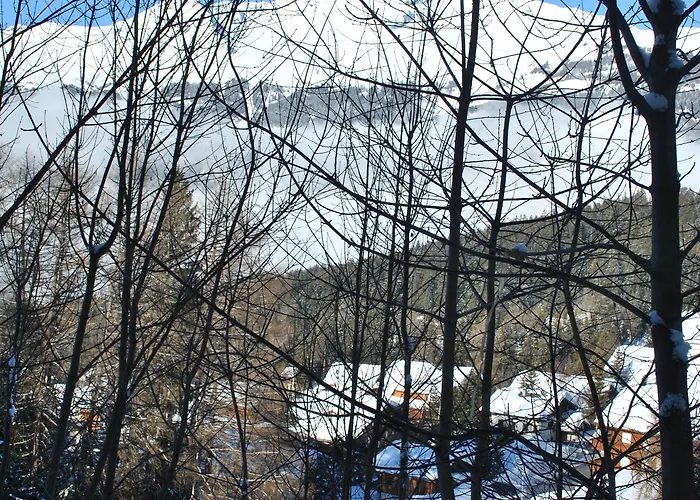 Les Petits Melezes Crans-Montana