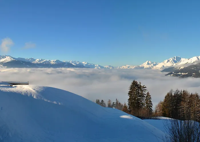 Oda ve Kahvaltı Les Petits Melezes