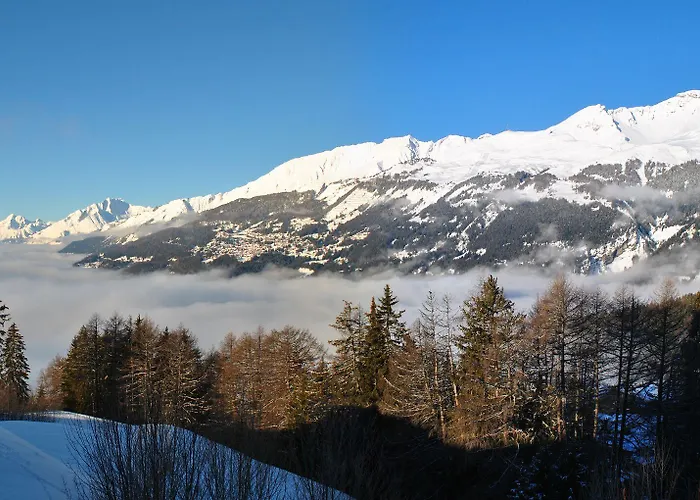 Les Petits Melezes Crans-Montana